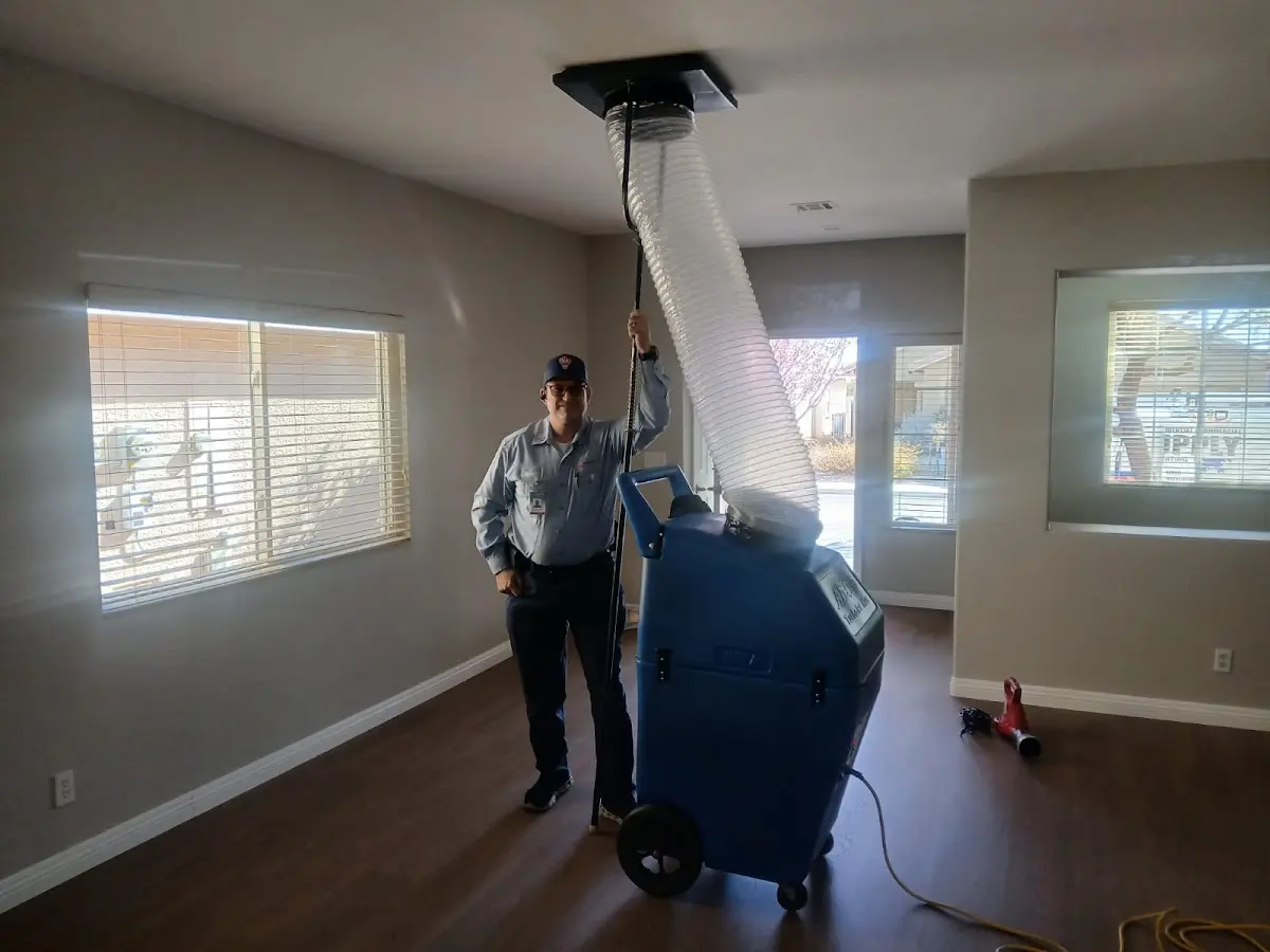 Professional Dryer Vent Cleaning work inside a Temple Terrace home